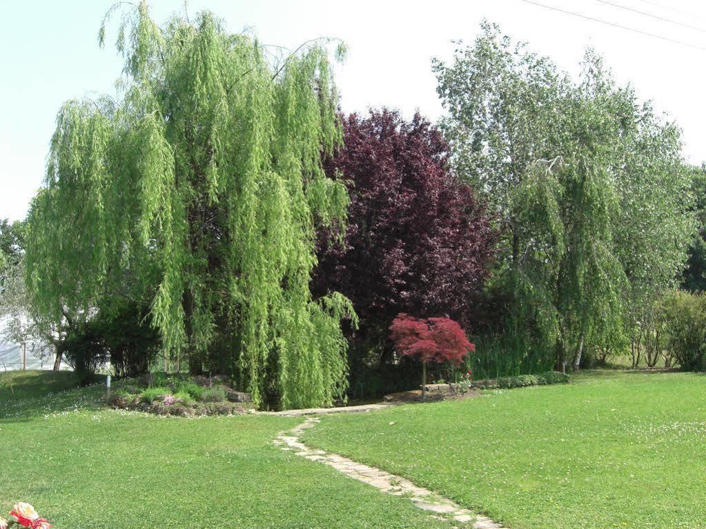 Il Vigneto Affittacamere Manerba del Garda Exteriér fotografie
