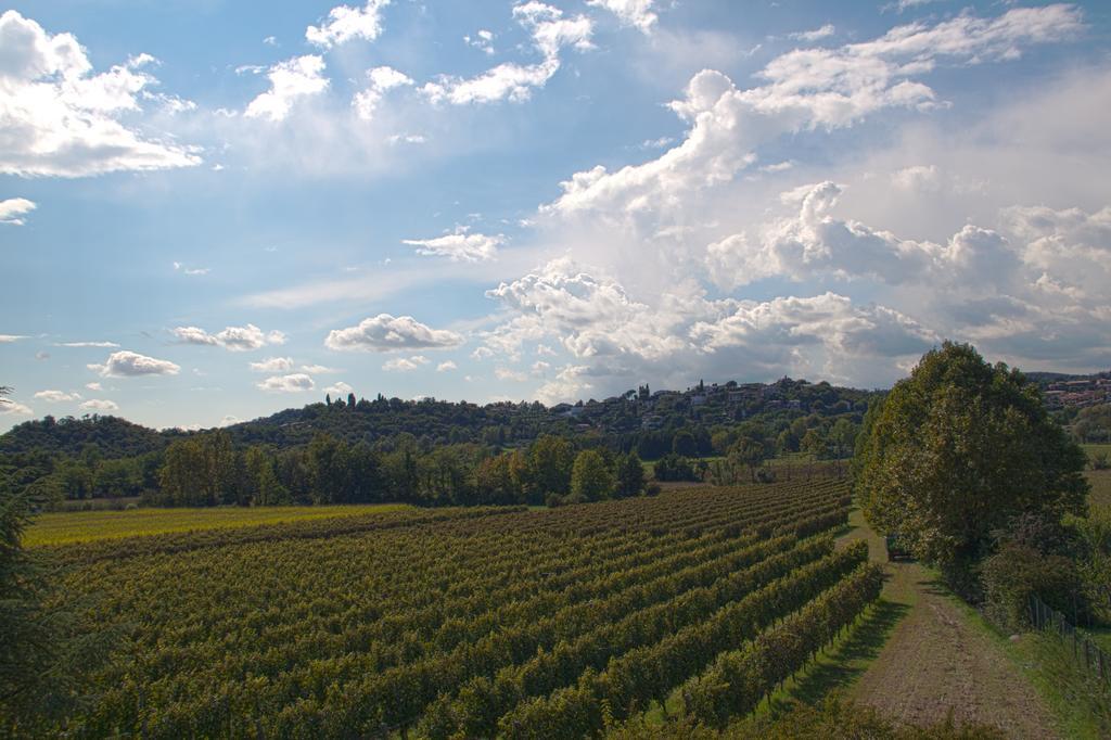 Il Vigneto Affittacamere Manerba del Garda Exteriér fotografie